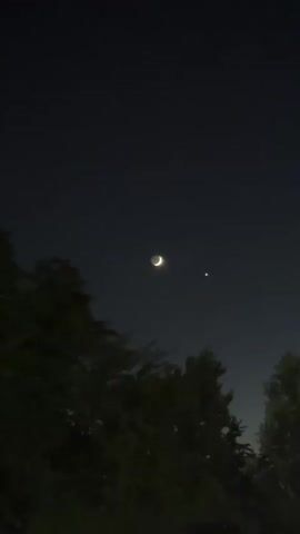 The video shows a night sky with a crescent moon and a bright star or planet. The moon is to the left and the celestial object is to the right. The sky is dark blue, indicating nighttime. Silhouetted trees with dark foliage are visible in the foreground, framing the bottom portion of the sky. The image appears to be captured from a low vantage point, looking upwards towards the sky. The video is short, with only a few seconds of footage, and there are no people or distinct objects other than the celestial bodies and trees.