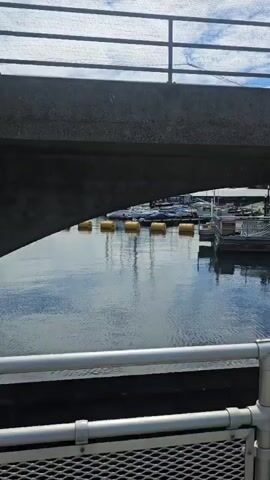 The video shows a series of scenes at what appears to be a canal or waterway with locks. The first scene shows a view under a bridge with a water channel, railings, and yellow buoys. The second scene shows a group of people walking along a pathway next to a body of water. One person is walking a dog. The third, fourth, and fifth scenes show a wider view of the waterway with boats, bridges, and lush green trees on the shore. The water is turbulent in the foreground, creating white foam. The sky is blue with some clouds.