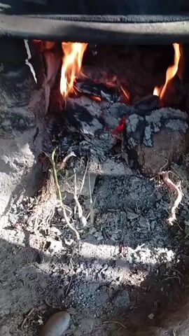 The video shows a close-up view of burning wood and embers in a makeshift fire pit or oven. The fire is active with flames rising from the logs and coals. The surrounding area appears to be made of dirt and rocks, with some dry vegetation or roots visible. The lighting suggests it is daytime, with shadows indicating the sun's position. The camera angle is slightly downward, focusing on the fire itself. There are no people or other objects clearly visible in the frame.