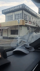 Gray horse crosses street in Sochi, Russia