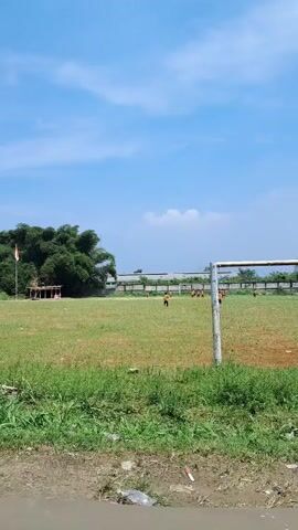 The video shows a wide shot of a football field on a sunny day. The sky is blue with a few wispy clouds. In the background, there's a dense clump of trees and a small, open-sided structure with a flag. A wall or fence runs along the back of the field. Several figures, possibly people, are dispersed on the field. A soccer goalpost stands on the right side of the frame. The foreground shows a patch of grass and a road or path with some litter, including a crumpled plastic bottle.