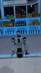 Visitors interact with robots at Liangjiang tech exhibition