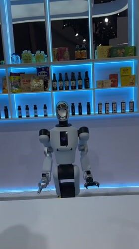 Visitors interact with robots at Liangjiang tech exhibition