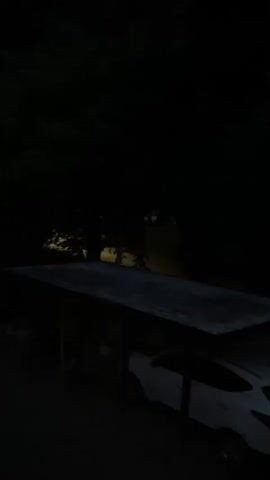 A white car is parked under a dark carport. The scene is dimly lit, suggesting it is nighttime or very early morning. Trees and foliage surround the carport, and the overall environment appears to be an outdoor residential area. The video is short and does not show any people or specific actions.