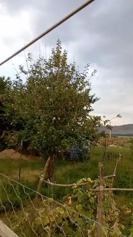 The video shows a rural setting with trees and vegetation. A fence made of wire mesh and wooden posts is visible in the foreground. An apple tree with some apples on it is in the center of the frame. In the background, there is a house made of brick with a corrugated roof. The sky is cloudy, suggesting potentially bad weather. The camera appears to be moving, as the scene shifts slightly throughout the short clip.