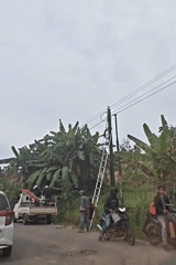 Utility workers service roadside pole in Lhokseumawe, Indonesia