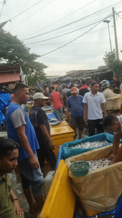 Busy Fish Market Operations Documented in Lhokseumawe Indonesia