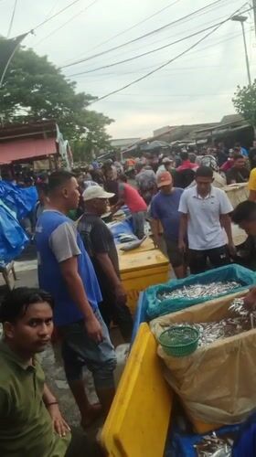 Busy Fish Market Operations Documented in Lhokseumawe Indonesia
