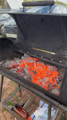 Spring blooms and outdoor grilling observed in Liukshud'ya, Russia