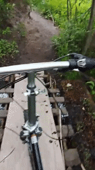 Cyclist crosses wooden bridge over stream in Russian woods