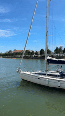 Trouville-sur-Mer harbor and seafood market on a summer afternoon