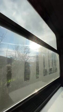 From the perspective of someone on a moving train, the view out the window shows trees and fields passing by under a bright, partly cloudy sky. The sun shines intensely, partially obscured by the branches of the trees. The window is slightly dirty.