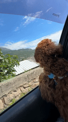 Dog enjoys car ride through Montenegro mountains