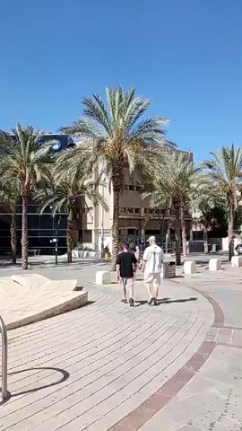 The video shows an outdoor urban scene with several palm trees and modern buildings. Two men are walking away from the camera on a paved walkway. In the background, there are several tall buildings, including a very tall, light-colored high-rise. There is a curved seating area or amphitheater-like structure in the foreground on the left. Several bicycles are parked in a rack to the right of the seating area. The sky is clear and blue, suggesting a sunny day. There are other people walking in the distance, but they are not clearly discernible. The overall impression is a pleasant, sunny day in a city with greenery and contemporary architecture.