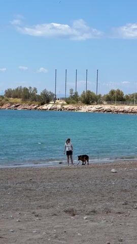 A woman walks a German Shepherd dog along a beach. The woman is white, wearing a white T-shirt and black shorts. The dog is on a leash. The beach is sandy with pebbles. Behind them is turquoise water, and on the other side is a rocky area with trees and tall metal structures. The sky is blue with some clouds. A wooden bench is in the lower left corner of the frame.