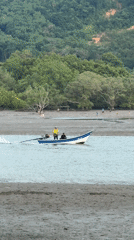 Morning scenes in Wichit: boat trip and curious cat