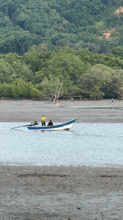 Morning scenes in Wichit: boat trip and curious cat