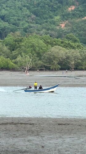 Morning scenes in Wichit: boat trip and curious cat