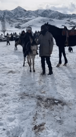 Child rides donkey in snowy Kyrgyzstan mountain landscape