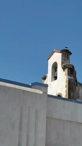 A bird flies past a bell tower with a bell inside, and nests with birds in them.