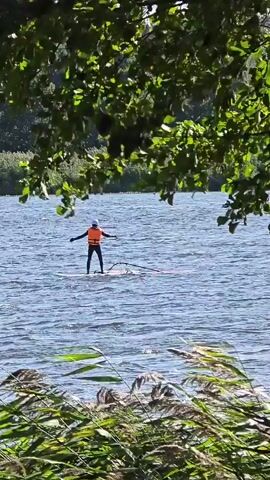 A person on a windsurf board is in the middle of a body of water. The person is wearing an orange life vest and a white helmet. The windsurf board is white with a sail that is partially visible. The water is rippling and appears to be a river or a lake. In the background, there are trees and vegetation. The foreground is blurred, showing green plants. The video captures the person windsurfing with the camera positioned slightly below the water level, looking up towards the action through the foliage.
