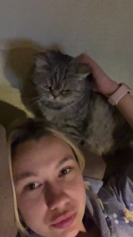A woman with blonde hair is lying on a couch and filming herself from a low angle. She is wearing a blue and white checkered shirt and a light pink smartwatch. Above her, a gray tabby cat is perched. The woman gently pets the cat's head. The background is a plain light green wall with a shadow. The lighting appears to be artificial.