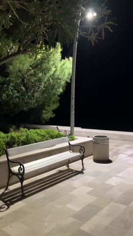 Here’s a description of the video:
The video shows a young woman running towards a bench, hopping onto it, then grabbing a nearby light pole and giving it a brief hug before stepping back down. The scene takes place at night on a paved area with a bench and a trash can under the light of a streetlamp. There's a tree and some greenery around. The woman is wearing a light-colored hooded sweatshirt and jeans.