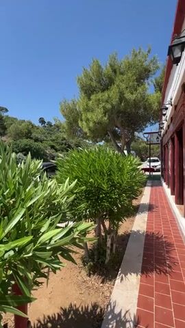 The video shows a bright, sunny outdoor scene with lush green foliage in the foreground. A paved walkway with red and white tiles runs along the right side of the frame, adjacent to a building with white and red elements. A large pine tree is visible behind the foliage, and a hilly, tree-covered landscape stretches into the background under a clear blue sky. A streetlight is visible in the upper left corner. Further back, several cars are parked, and a few people are standing near them. The video pans slightly, revealing more of the landscape and a person's hand holding a purple ice cream wrapper.