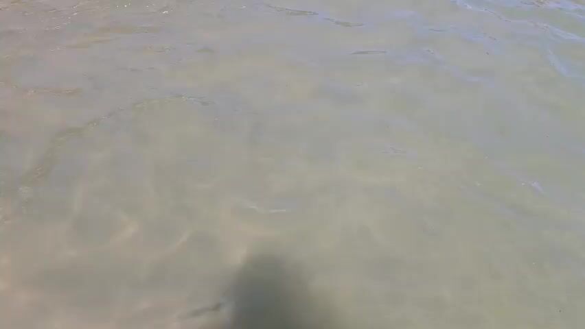 The video shows a view from above the water, likely a lake or river, in Yelyzavetivka, Ukraine. The water is a murky greenish-brown and appears somewhat shallow, with sunlight glinting off the surface creating rippling patterns. 

In the early frames, the water is the primary focus, with occasional disturbances suggesting movement below the surface. Around the 0:02 mark, a person's legs and a colorful inflatable ring come into view, indicating that someone is in the water. The person appears to be a child, given the size of the inflatable ring. The activity taking place is swimming or playing in the water. 

There are no explicit visual cues about the time of day or weather conditions beyond the presence of sunlight. The overall mood is relaxed and summery, consistent with recreational activity in warm weather. No text is visible in the video. The setting is natural and appears to be a recreational area, possibly a beach or a designated swimming spot.