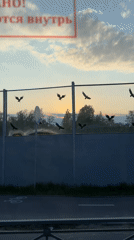 Ordinary urban scenes documented in Saint Petersburg