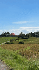 Rural Indonesian village life documented in Selemadeg Timur
