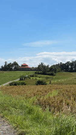 Rural Indonesian village life documented in Selemadeg Timur