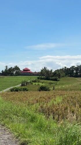 Rural Indonesian village life documented in Selemadeg Timur
