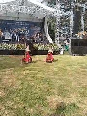 Sragen Regency anniversary festival features traditional dances, carnival activities
