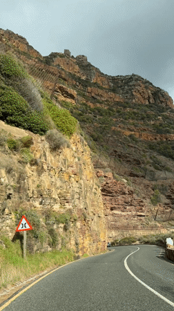 Vehicle travels scenic Cape Town mountain road near Lion's Head