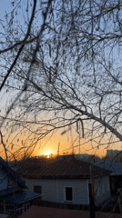 Spring awakening documented in Biysk Russia residential areas