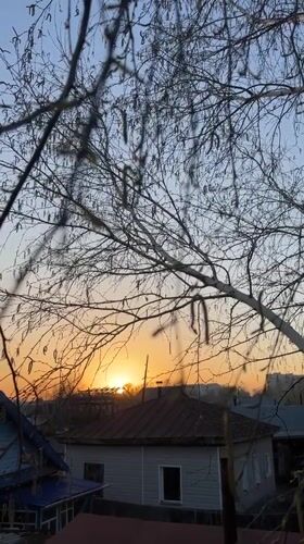 Spring awakening documented in Biysk Russia residential areas