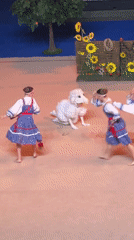 Multi-act performance showcases folk dance, gymnastics, and acrobatics in Moscow