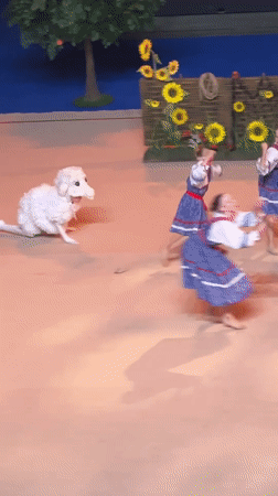 Multi-act performance showcases folk dance, gymnastics, and acrobatics in Moscow