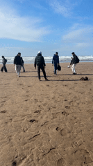 Casablanca residents capture beach life and desert plants