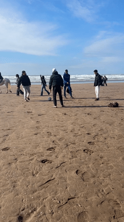 Casablanca residents capture beach life and desert plants