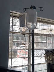 Cat undergoes medical treatment with IV drip in Nairobi