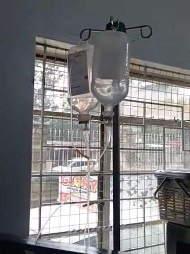 Cat undergoes medical treatment with IV drip in Nairobi