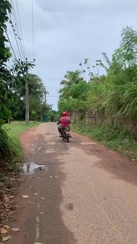 A man wearing a red helmet and a maroon shirt rides a motorcycle down a paved road. He has a white bag on the back of the motorcycle. The road is lined with trees and lush green vegetation on both sides. There are power lines running overhead. The sky is overcast.
