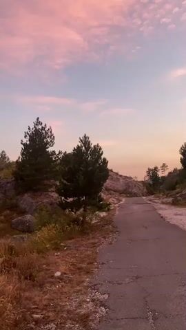 The video displays a panoramic view of a mountainous landscape at sunset or sunrise. The sky is painted with soft hues of pink and blue, with scattered clouds. The foreground shows a dirt road winding through rocky terrain with sparse vegetation, including dry grass and bushes. Several pine trees are scattered across the hillsides. The camera pans across the scene, revealing rolling hills and distant mountain ranges. The overall impression is one of serene natural beauty.