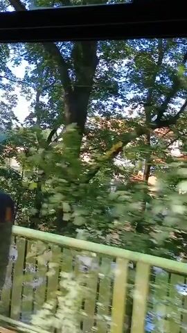 The video shows a view from inside a moving vehicle, likely a bus or train, looking out a window. Green trees and buildings are visible outside. The vehicle appears to be moving through a residential area or a town. The camera is positioned to show the trees and buildings passing by, with a portion of a seat visible in the foreground. The lighting suggests it is daytime.