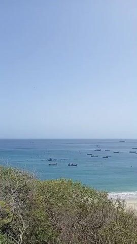 This is a video capturing a picturesque coastal scene in Manzanillo, Venezuela. The camera pans across a serene bay dotted with numerous small, traditional fishing boats, their silhouettes stark against the calm, turquoise water. The scene is bathed in the bright, clear light of a sunny day, suggesting it's likely late morning or early afternoon.

The backdrop features gently rolling, green-covered hills that frame the bay, with a stretch of golden sand forming a crescent-shaped beach. A few scattered buildings, appearing to be part of a small coastal village, are visible nestled along the edge of the beach and the foothills. The lush green foliage in the foreground, composed of trees and shrubs, adds depth and a sense of natural beauty to the composition.

On the beach, a few people can be seen, appearing relaxed and perhaps enjoying the tranquil atmosphere. The water is gently lapping at the shore, creating a subtle white line of surf. The overall mood conveyed is one of peace and natural beauty, highlighting the simple charm of this Venezuelan coastal location. There is no visible text in the video.