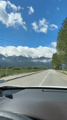 Driver records tree-lined road view in Razlog, Bulgaria