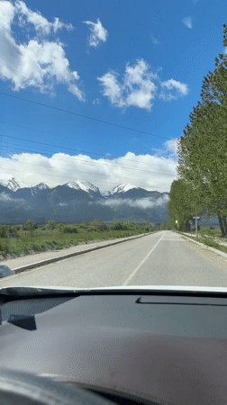 Driver records tree-lined road view in Razlog, Bulgaria