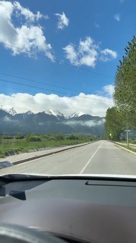 Driver records tree-lined road view in Razlog, Bulgaria